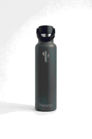 Botella Theramic 600 ml Gris